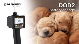 DOD2 Battery Changing  Dog Ovulation Detector Dramiński [upl. by Flanna619]