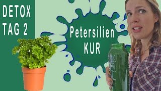 Smoothie Petersilie DETOX Kur Tag 2  04 kg abgenommen  Detox Smoothie Kur  grüner Smoothie vegan [upl. by Fari550]