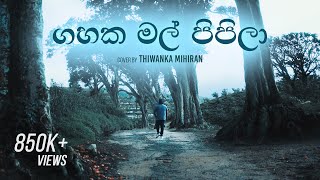 Gahaka Mal Pipila  ගහක මල් පිපිලා  Cover by Thiwanka Mihiran [upl. by Browning]