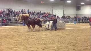 Orangeville Horses Pull 18000 lbs 2013 [upl. by Suiram]