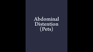 abdominal distention in Pet animals  انتفاخ البطن فى الكلاب و القطط [upl. by Eimmot]