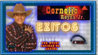 cornelio reyna jr exitos [upl. by Sayres]