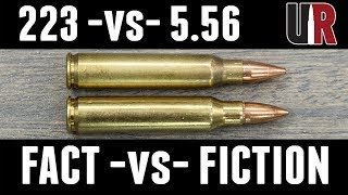 223 vs 556 FACTS and MYTHS [upl. by Atsuj]