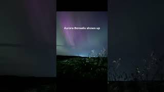 Aurora Borealis in Sudbury Ontario🇨🇦🍁 northernontario northernlights aurora sudbury canada [upl. by Gnaig598]