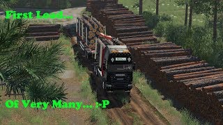 FS19  Forestry On Holmåkra  First Load  Timelapse  S02 EP22 [upl. by Inalaek]