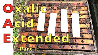 Extended Release Oxalic Acid Field Trials [upl. by Mellisent482]