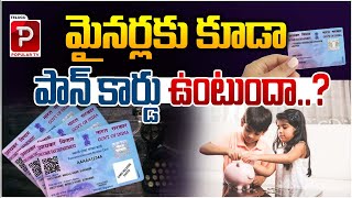 మైనర్లకు కూడా పాన్‌ కార్డు ఉంటుందా Can Minors Also Have PAN Card  Telugu Popular TV [upl. by Yleve666]