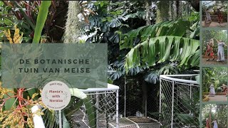 🌱Plantentuin Meise in Belgie  Vlog [upl. by Theodore]