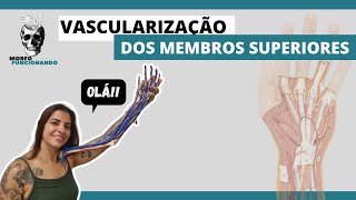 ANATOMIA DAS PRINCIPAIS ARTÉRIAS E VEIAS DOS MEMBROS SUPERIORES MMSS 9 [upl. by Nimsay317]