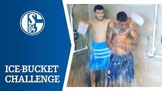 FC Schalke 04 Ice Bucket Challenge Compilation [upl. by Ynetsed]