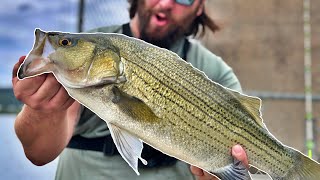 Fishing the Ohio River for Hybrid Striped Bass Dam Fishing Mission [upl. by Delano]