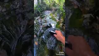 iPhone 15pro max waterproof testing 😱 viralvideo shortvideo viralshort [upl. by Aohk]