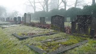 grave yard no copyright footage video [upl. by Sirc]