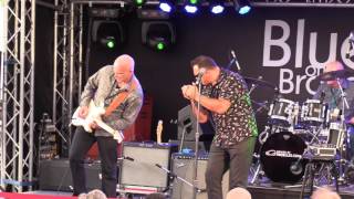 THE FLAMING MUDCATS  BROADBEACH BLUES FEST 18052017 [upl. by Daj]