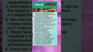 Полезно знать польза аниса [upl. by Adav]