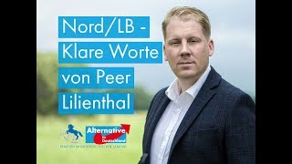 Die Rettung der NordLB ist nicht nachhaltig Peer Lilienthal MdL AfD [upl. by Annayt676]