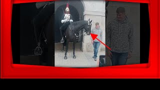 Mindblowing Gesture Tourist Shows Appreciation To Kings Majestic Horse [upl. by Coshow]