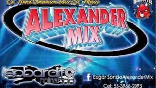 Alexander Mix En Xonacatlan 2013 [upl. by Cadmar53]