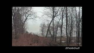 Lake Erie January 2024 getaway travel lake lakeerie pennsylvania [upl. by Tommy12]