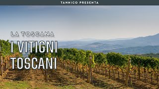 I vitigni principali in Toscana non solo Sangiovese  Tannico Flying School [upl. by Uzial]