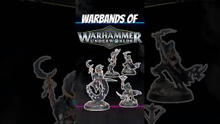 WARBANDS OF THE UNDERWORLDS  THE SHADEBORN warhammerunderworlds ageofsigmar warhammer shorts [upl. by Anthea]