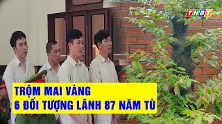 Trộm mai vàng  6 đối tượng lãnh 87 năm tù  Tin nhanh 18h [upl. by Brownson913]