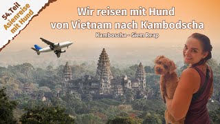 Wir reisen mit Hund von Vietnam nach Kambodscha ● Kambodscha ● Siem Reap ● Vlog 75 [upl. by Aicillyhp]