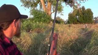 Shooting glass with the Beeman Sportsman rs2 pt2 with Target cam [upl. by Edyaj]