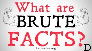 What are Brute Facts Philosophical Definition [upl. by Shewmaker]