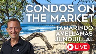 Costa Rica Condos  Avellanas amp Tamarindo Real Estate [upl. by Welton]