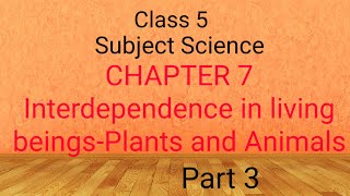 CLASS 5CHAPTER 7INTERDEPENDENCE IN LIVING BEINGS PLANTS AND ANIMALS PART 3 [upl. by Tamaru]