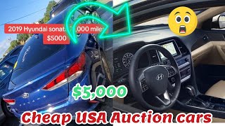 2019 Hyundai Sonata very cheap for 5000😱🇺🇸 [upl. by Camille]