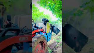 grape agriculturalsystem farminglifeinanotherworld farmingmethod [upl. by Svoboda]