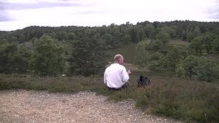 Wald und Heidetour  Fischbeker Heide [upl. by Odetta]