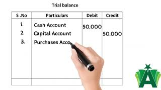 Journal ledger and Trial balance [upl. by Keyek]