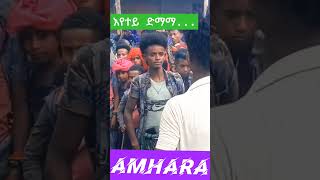 እየ ተይ ድማማ  Best Wollo Music [upl. by Laith]