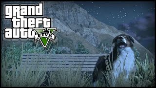 GTA 5 Next Gen  THREE Peyote Plant Locations 5 6 amp 7  quotPlay as Animalsquot 727 Peyote Plants [upl. by Htiderem]