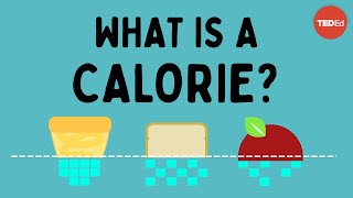 What is a calorie  Emma Bryce [upl. by Norbie]