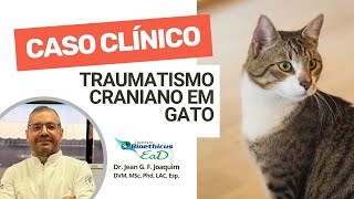 Caso Clínico  Traumatismo Craniano em Gato [upl. by Dragde]