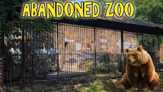 ABANDONED ZOO in BOSTON  Bear Cages Hidden in the Woods [upl. by Kentigerma]