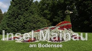 Bodensee die Insel Mainau ein Rundgang über die Insel mit einzigartiger großartigen Blumenbracht [upl. by Eveivaneg990]