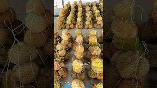 💥The worlds smelliest fruit‼️but very delicious🔥durian Fruit Cutting💥💥 [upl. by Asirak]