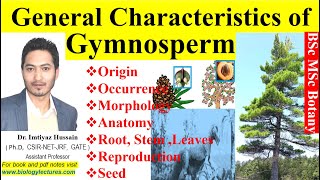 General characteristics of Gymnosperms gymnosperms  origin morphology anatomy root stem leaves [upl. by Hertz]