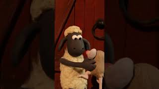 The Rat🐑🐑🐑 shorts shaunthesheep cartoonforkids [upl. by Affrica]