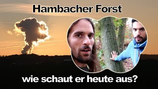 Hambacher Forst  was geschah hier wirklich Sind erneuerbare Energien die Zukunft [upl. by Fleischer392]