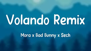 Volando Remix  Mora x Bad Bunny x Sech Letra 🎃 [upl. by Nitsej]