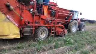 Massey Ferguson 3080grimme sl800 [upl. by Anatlus]