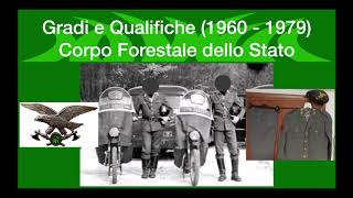 Gradi e Qualifiche Corpo Forestale dello Stato 19601979 [upl. by Assirrac]