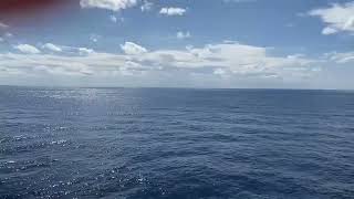 10 Hour Atlantic Ocean View Loop from Cruise Ship Balcony  Soothing White Noise [upl. by Kyrstin994]