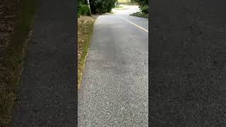 Skateboarding down steep hill on 30 yearold cruiser ￼ skateboard ￼ [upl. by Lenzi]